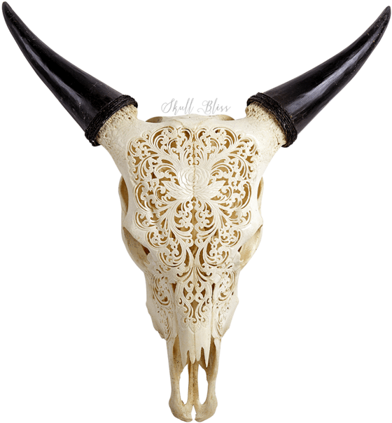 Cow Skull Png - Carved Cow Skulls (645x645), Png Download
