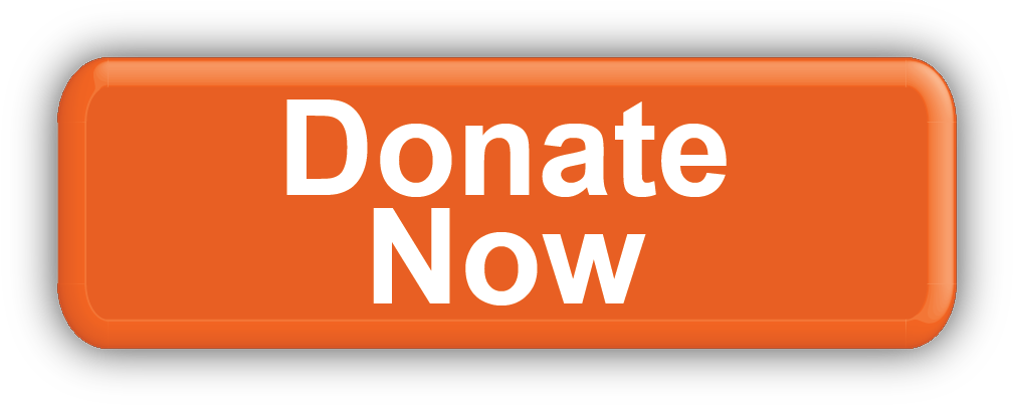 Orange Donate Now Button (1024x417), Png Download