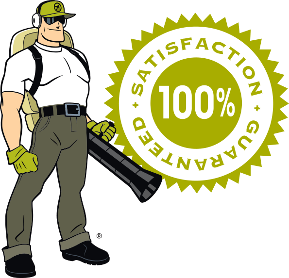 Dread Skeeter With Satisfaction Guarantee Logo - Mosquito Squad (595x573), Png Download