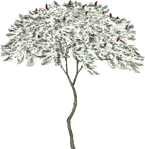 Artificial Flower (750x527), Png Download