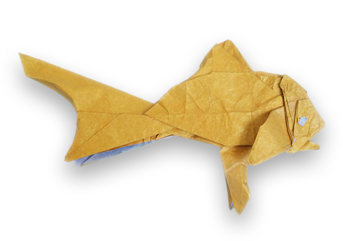 Golden Fish Shuki Kato - Origami (800x480), Png Download