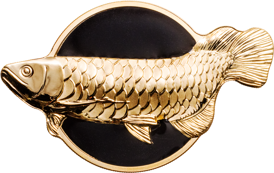 Dragonfish Golden Arowana - Asian Arowana (910x910), Png Download