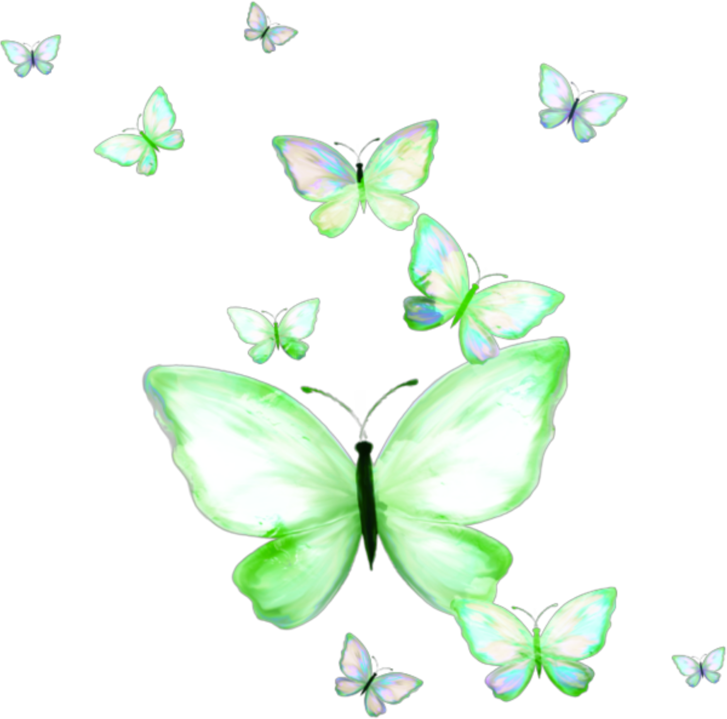 Largest Collection Of Free To Edit Butterfly Clipart - Pieridae (1800x1800), Png Download