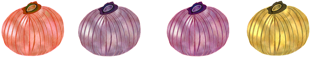 Red Onion (1280x405), Png Download
