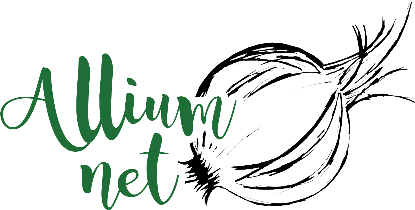 Alliumnet - Red Onion (1501x950), Png Download