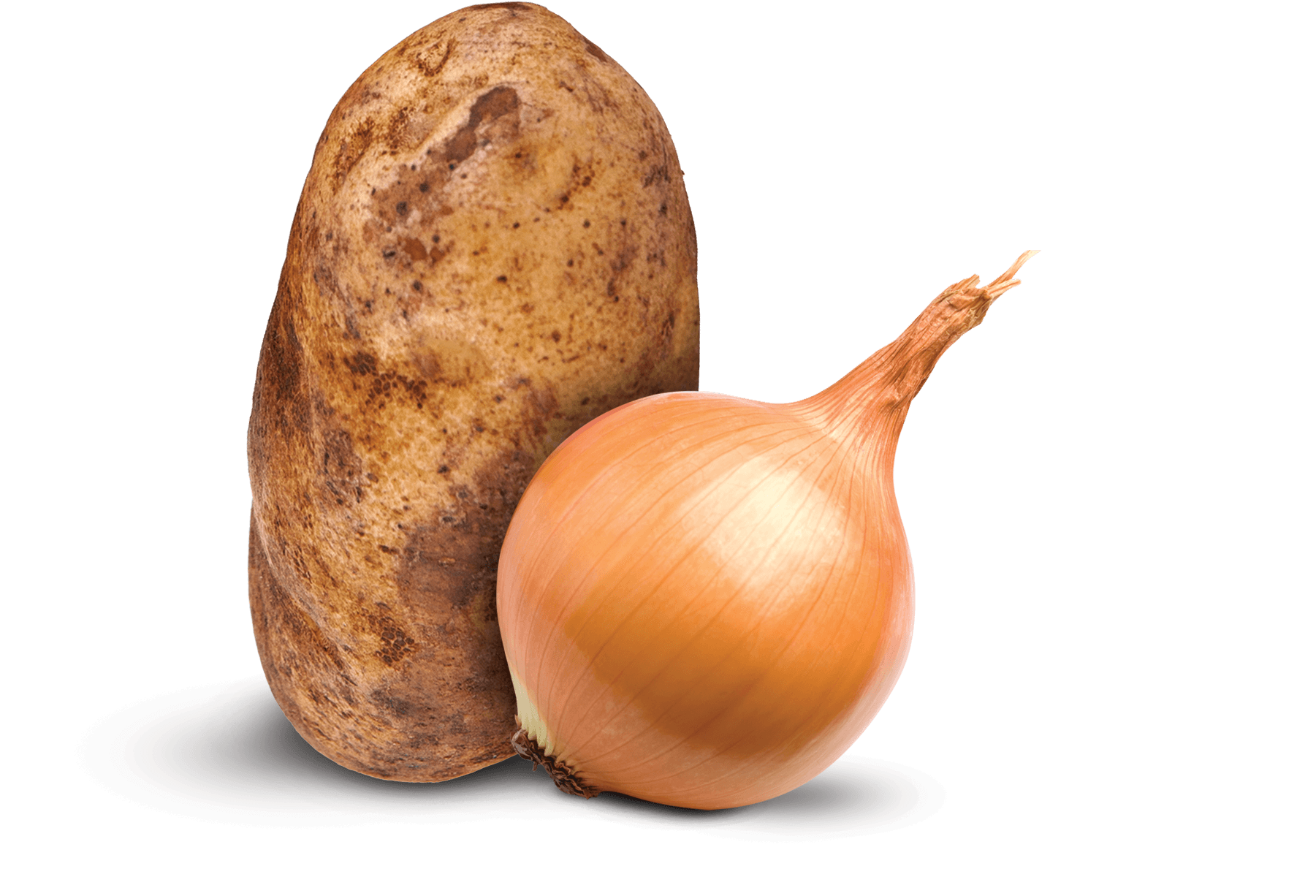 Engineering-first Approach - Shallot (1800x1350), Png Download