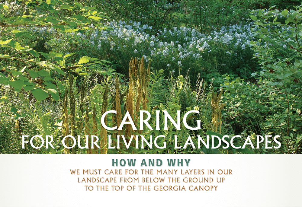 Georgia Native Plant Society Annual Symposium - Botanical Garden (1000x686), Png Download