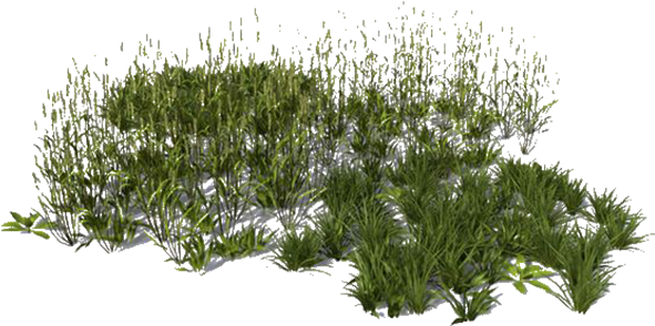 View In My Picture - 3d Grass For Photoshop Rendering (600x600), Png Download