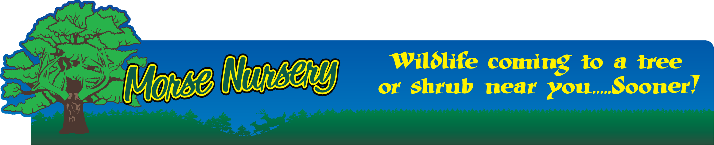 Morse Nursery - Graphic Design (2326x472), Png Download