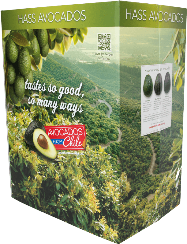 Counter Top Display With Product Lift - Balsam Fir (624x800), Png Download