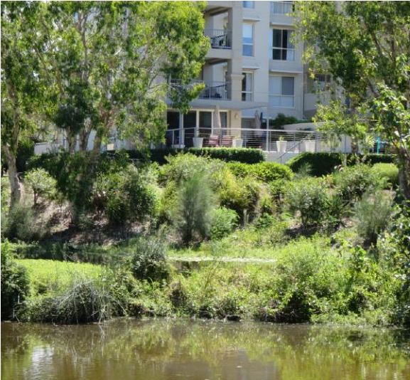 Luxury Top Floor Resort Apartment On The Gold Coast - Pond (800x533), Png Download