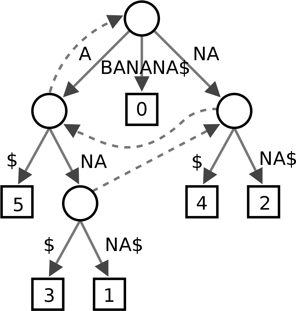 Suffix Tree Wikipedia - Suffix Tries In Data Structure (1200x1273), Png Download