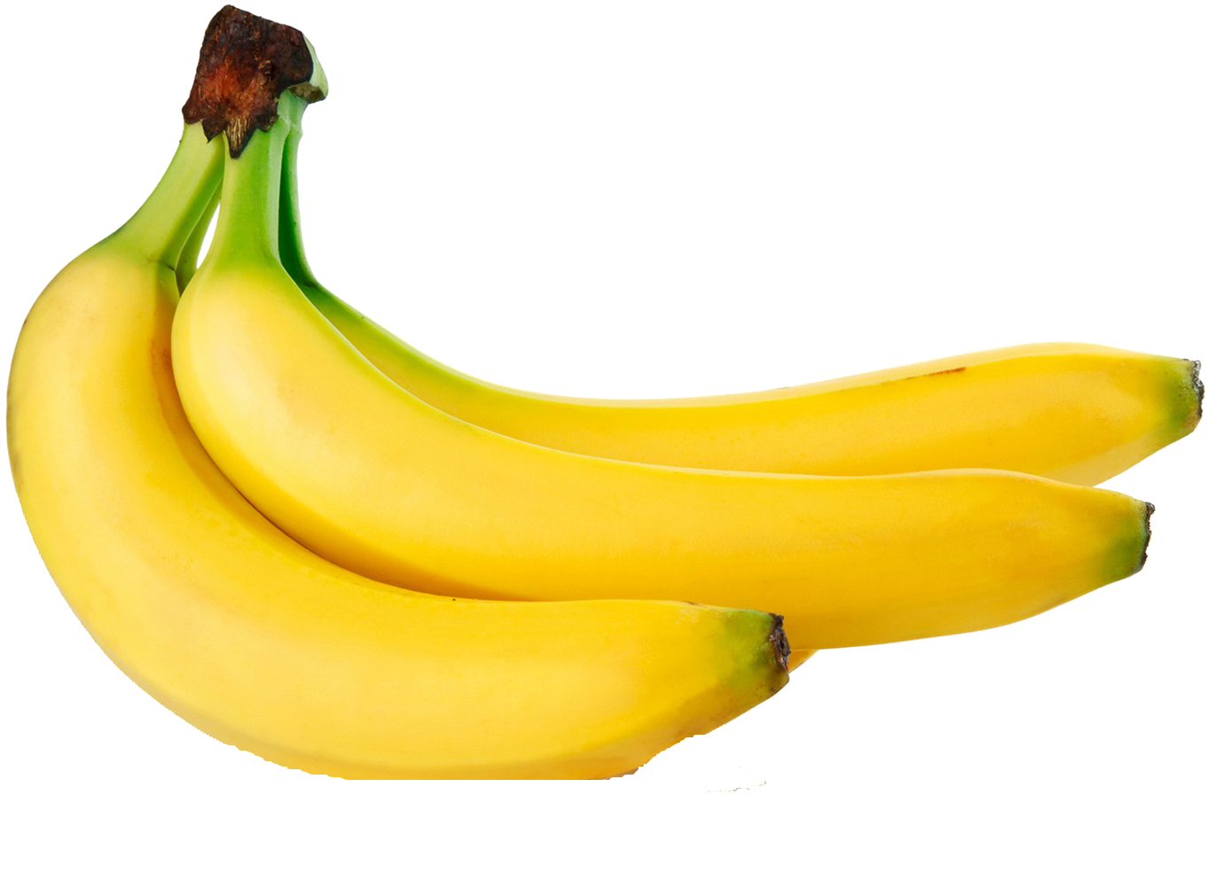 Food With White Background (1600x1500), Png Download