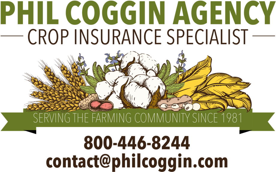 Phil Coggin Logo - Hospital Santa Elisa (1000x653), Png Download