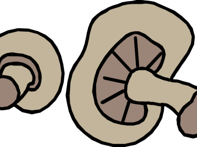 Mushroom Clipart Button Mushroom - Mushroom Clip Art (640x480), Png Download