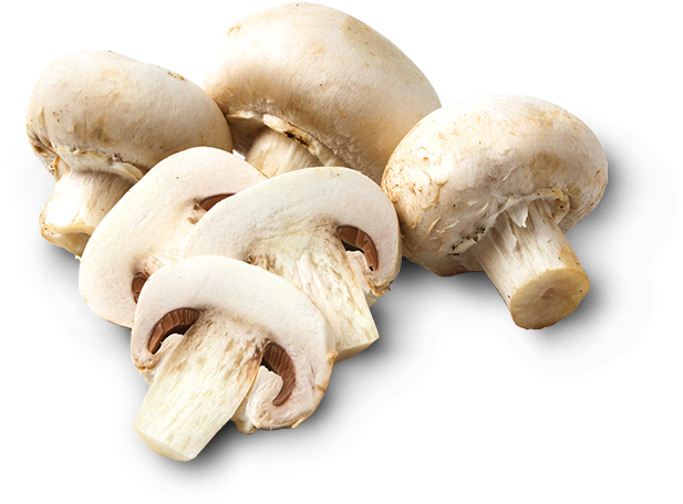 Mushrooms - Champignon Mushroom (720x720), Png Download