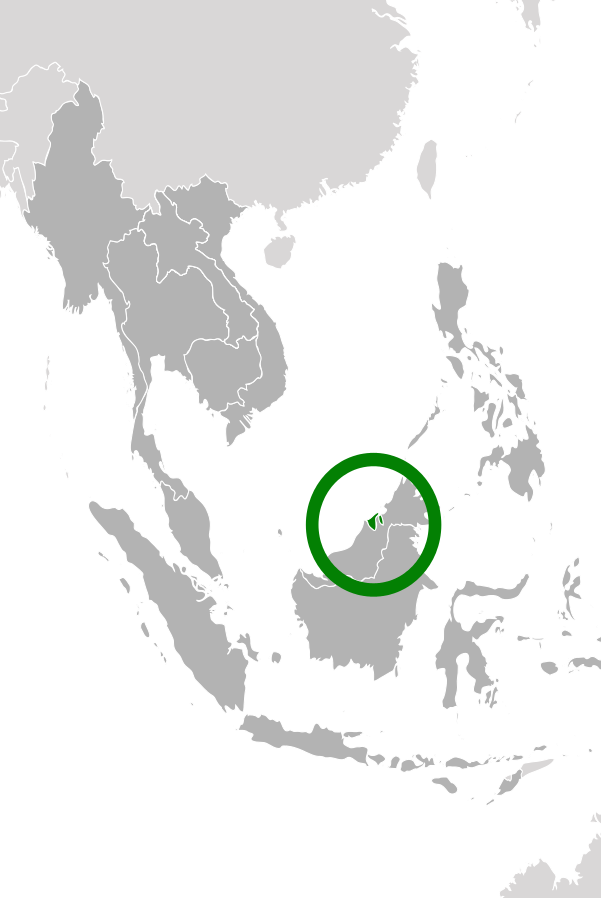 Location Of Brunei In South Asia Map - European Colonisation Of Southeast Asia (601x898), Png Download