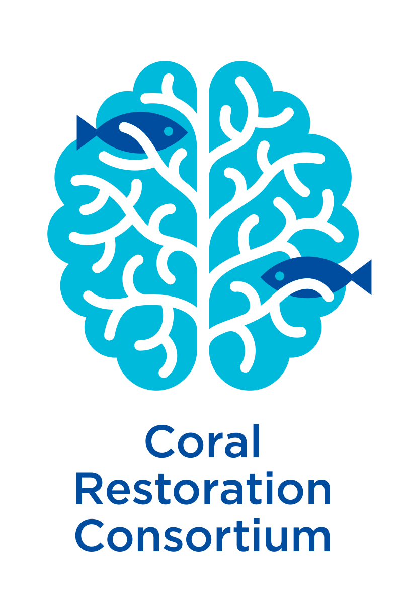 Post Conference Email & Survey - Coral Restoration Consortium (1000x1373), Png Download