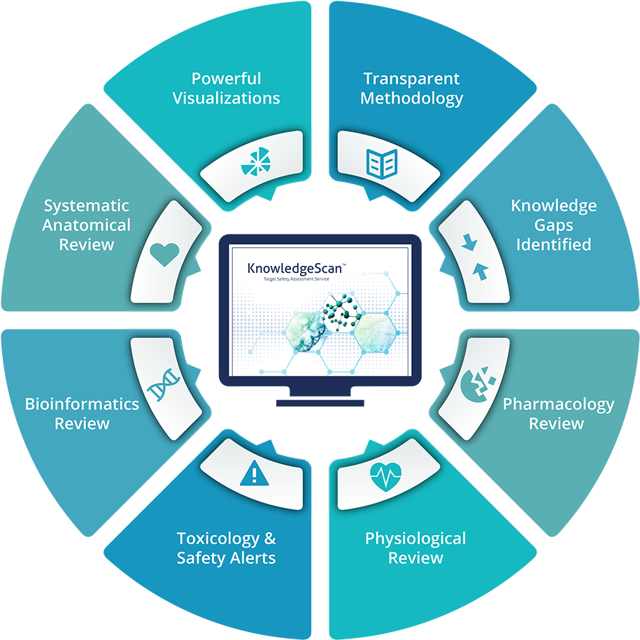 Instem - Basketball Ball Png Vector (1000x1000), Png Download