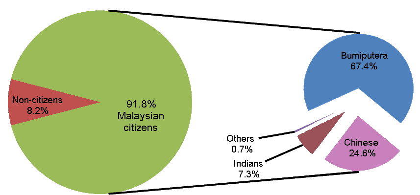 Percentage Distribution Of Malaysian Population By - Ethnic Distribution In Malaysia (856x413), Png Download