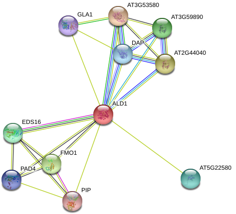 Diagram (976x467), Png Download