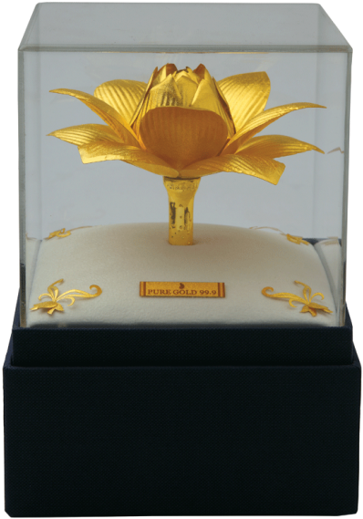 Golden Lotus - Trophy (580x795), Png Download