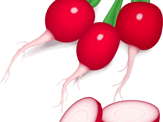Radish Clipart Radish Plant - Vegetables (640x480), Png Download