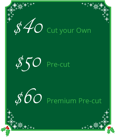 Here At Wilbert's Tree Farm We Accept Cash, Visa, Mastercard - Graphic Design (522x647), Png Download