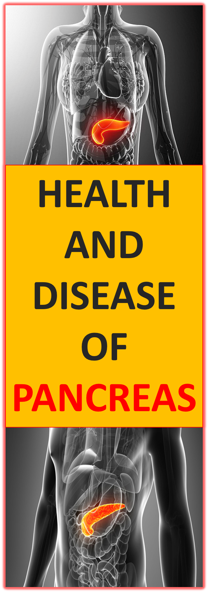 Health Of Pancreas Is Necessary For Good Function Of - Poster (801x1916), Png Download