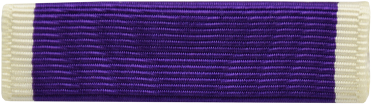 Party Supply (800x800), Png Download