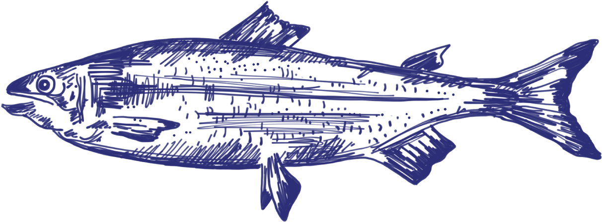 Fish - Great White Shark (1500x1500), Png Download