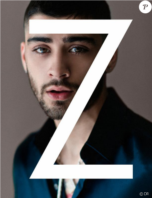 Zayn Malik Se Livre Sans Fausse Pudeur Dans Ses Mémoires - Zayn's Book (950x770), Png Download
