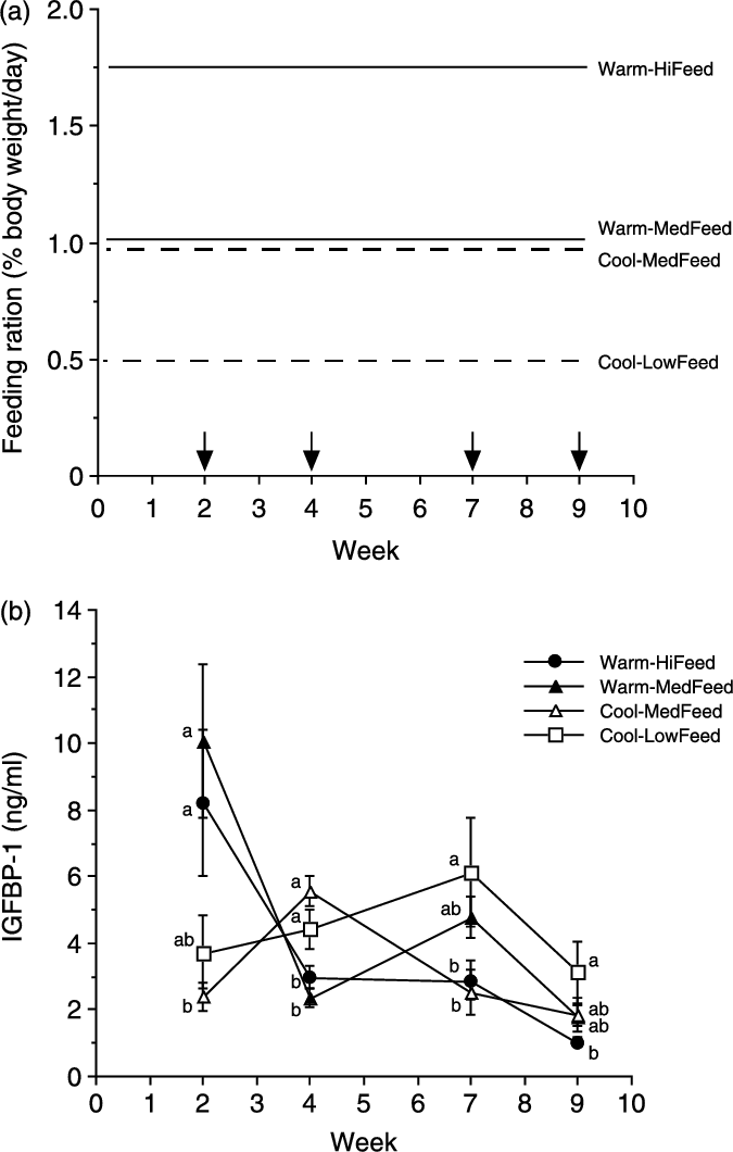 Effects Of Temperature And Feeding Ration On Plasma - Experiment (675x1060), Png Download