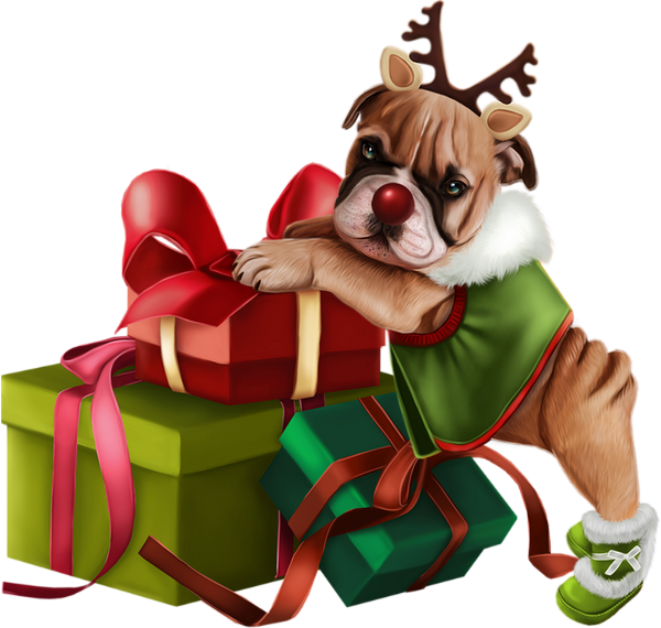 Dog Licks (600x570), Png Download