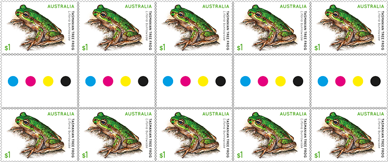 Shop (800x600), Png Download