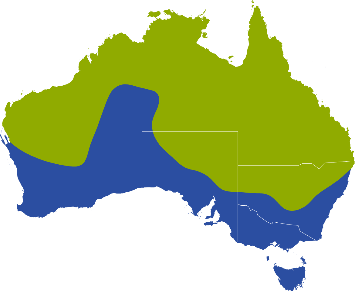 A Map Showing The Geographic Distribution Of The Red - Map Of Australia (1170x958), Png Download