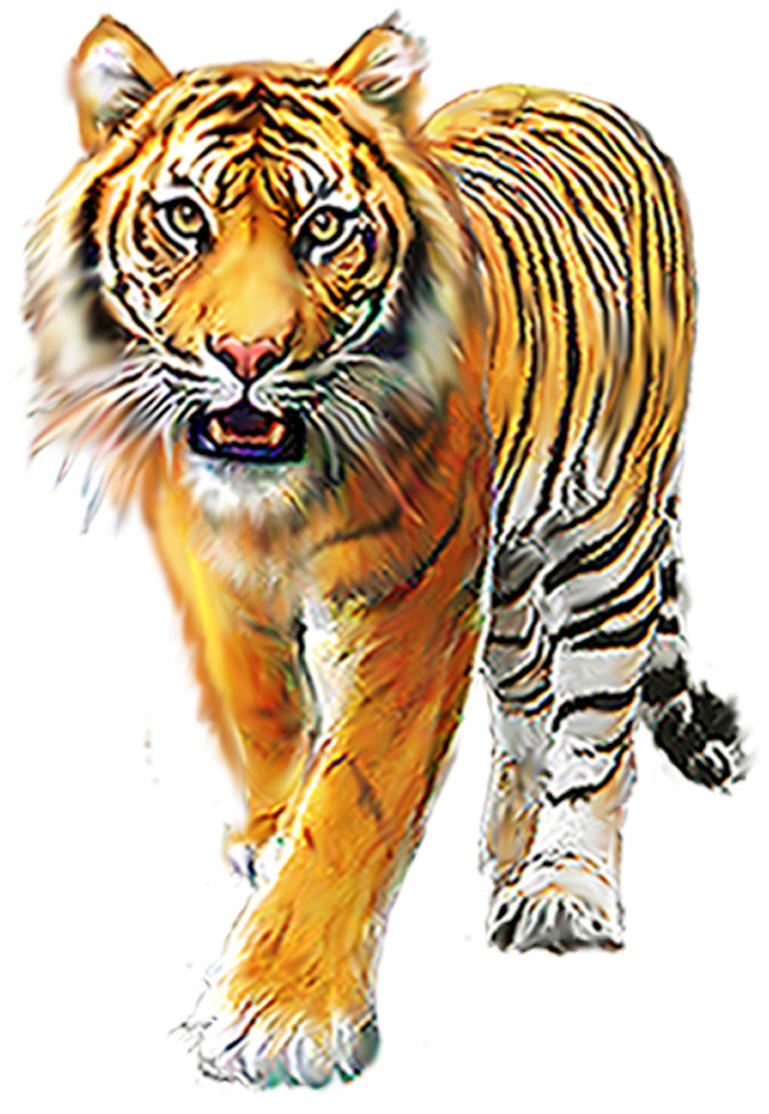 Cartoon Tiger Png - Ranthambore National Park (1181x1181), Png Download