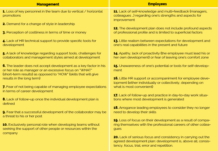 20 Barreras 32 - Personal Development Plan Team Lead (750x519), Png Download