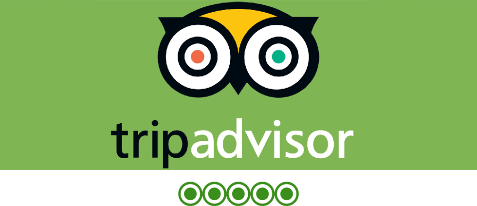 Tripadvisor - Circle (980x423), Png Download