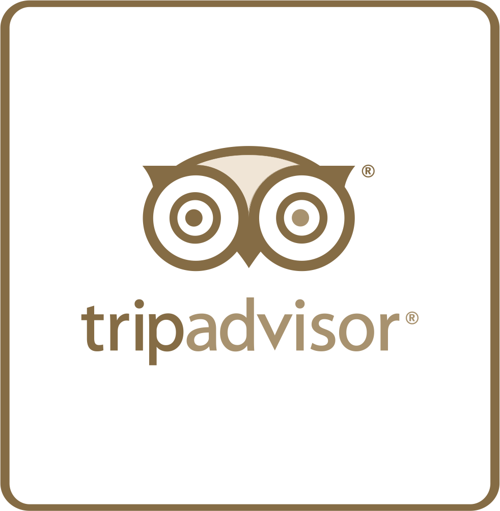Trip Advisor Facebook - Owl (982x1005), Png Download