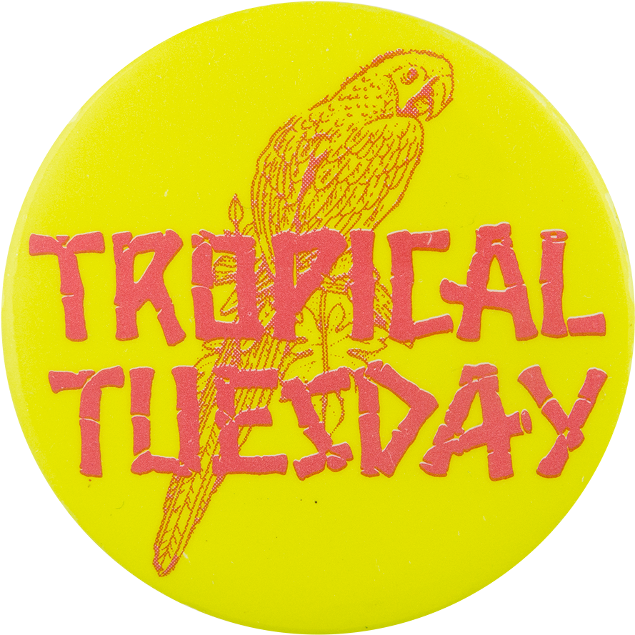 Tropical Tuesday - Circle (1000x970), Png Download