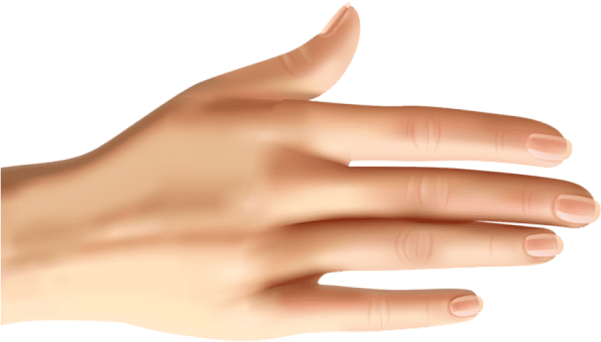 Download Hand Clipart Png Photo - Manicure (850x489), Png Download