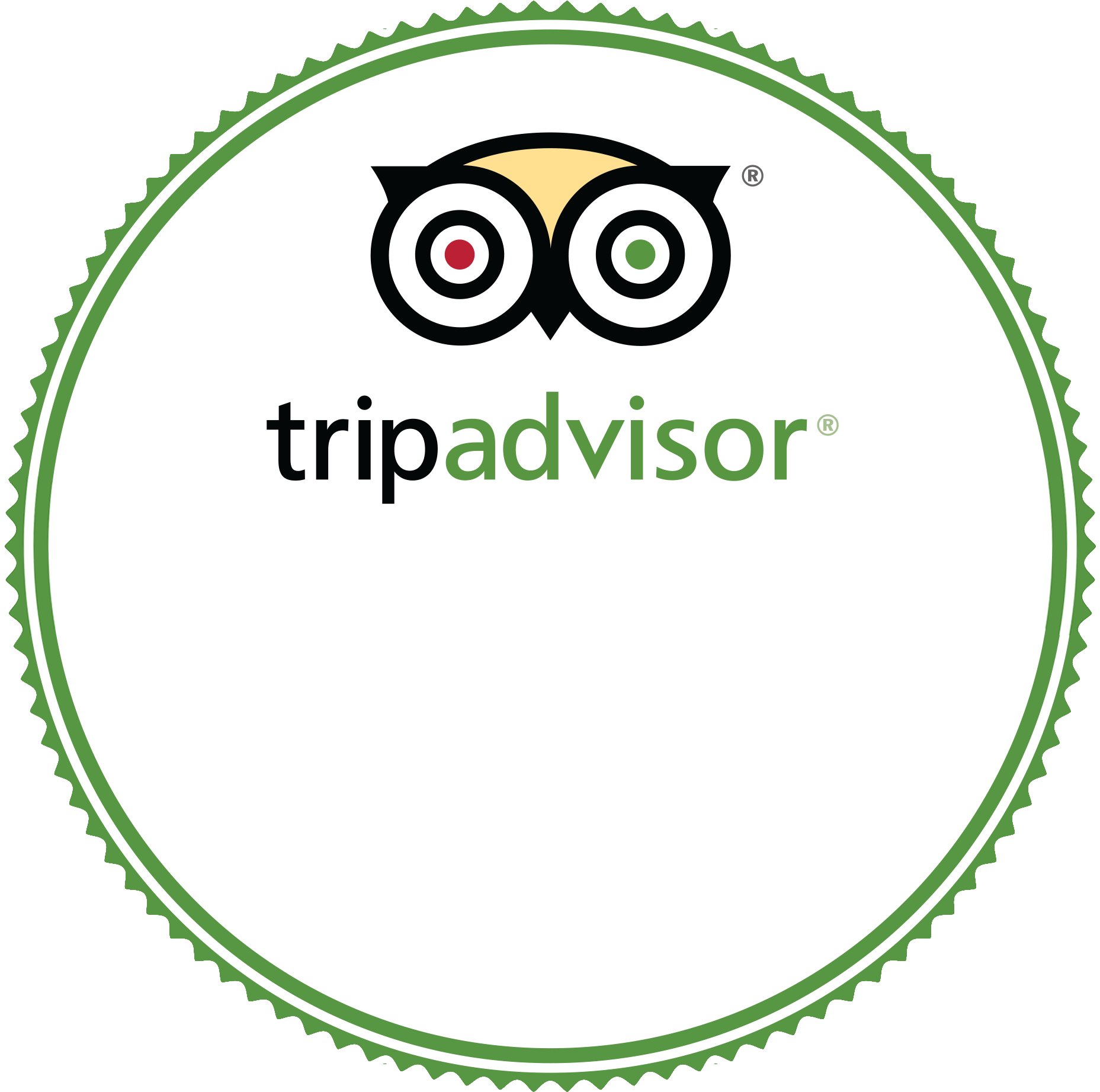 Travel choice. TRIPADVISOR логотип. Трипадвизор. Наклейка трипадвизор. TRIPADVISOR рекомендует.