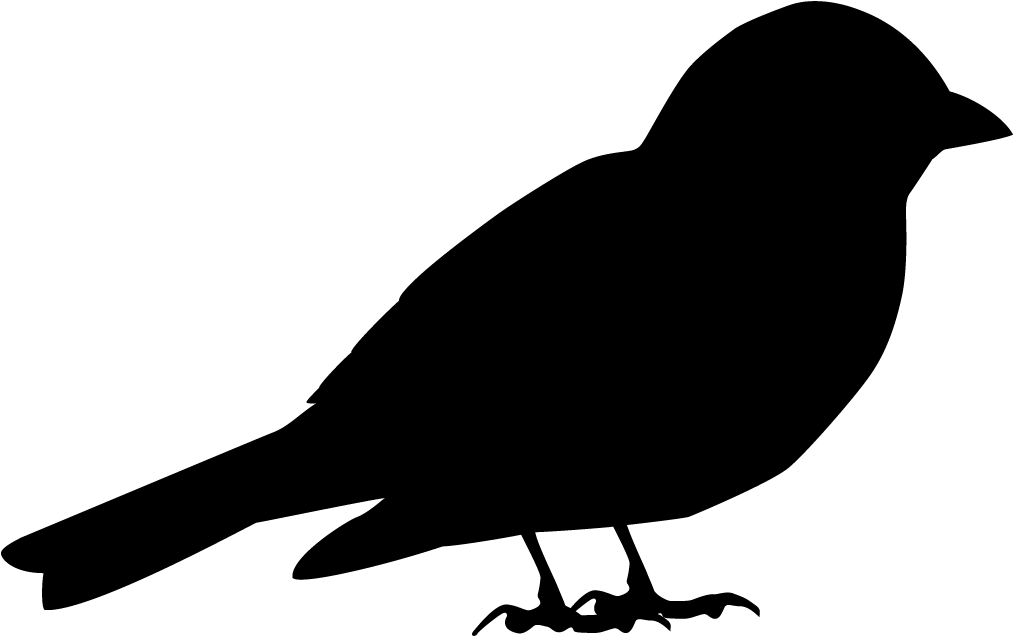 Eurasian Tree Sparrow - Shape Of Sparrow (1024x1024), Png Download