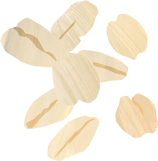 Granola - Insect (1200x630), Png Download