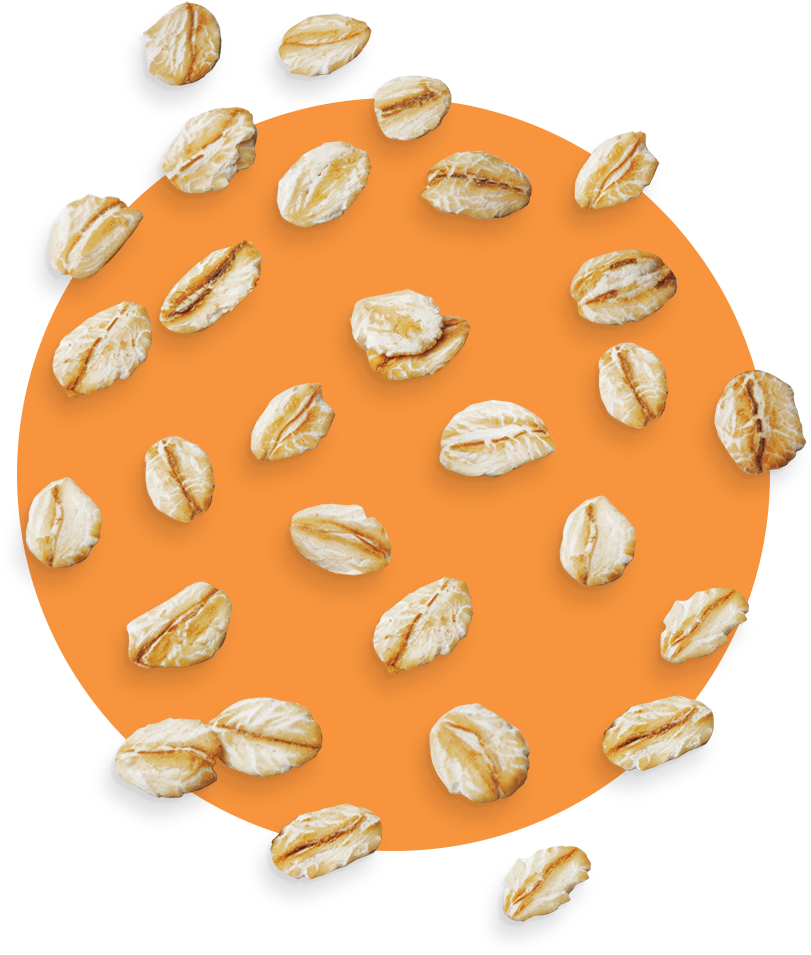 An Oat Mill In Northern Finland Ⓒ - Nut (1000x1000), Png Download