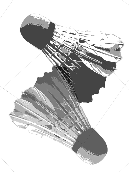 504 X 672 0 - Badminton (504x672), Png Download