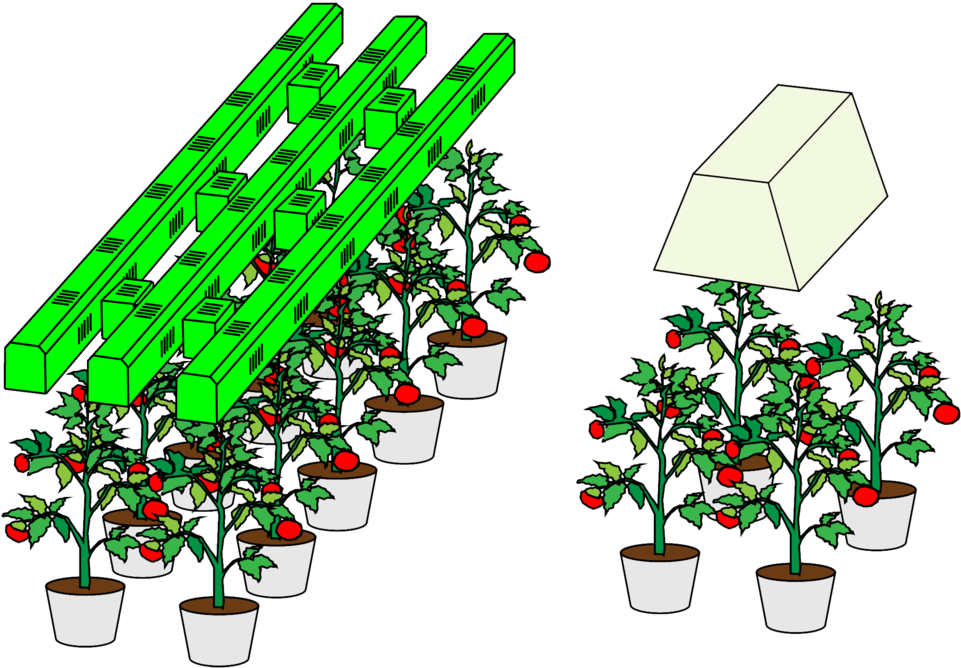 Green Fusion Led @ 1195 Watts Vs (1000x709), Png Download