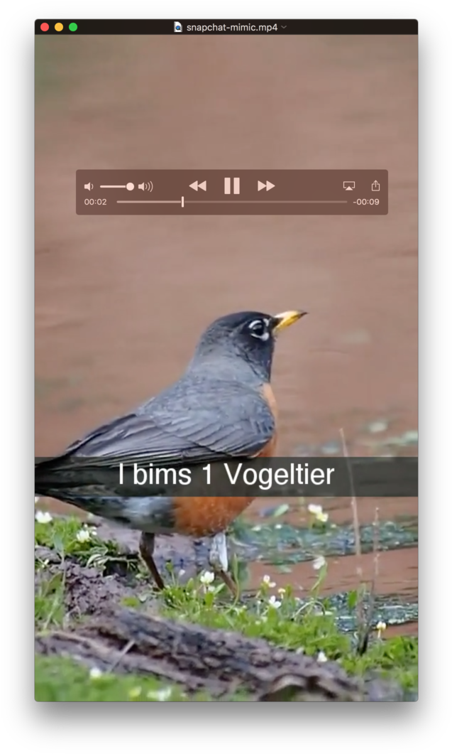 Project Description - Blackbird (652x1072), Png Download