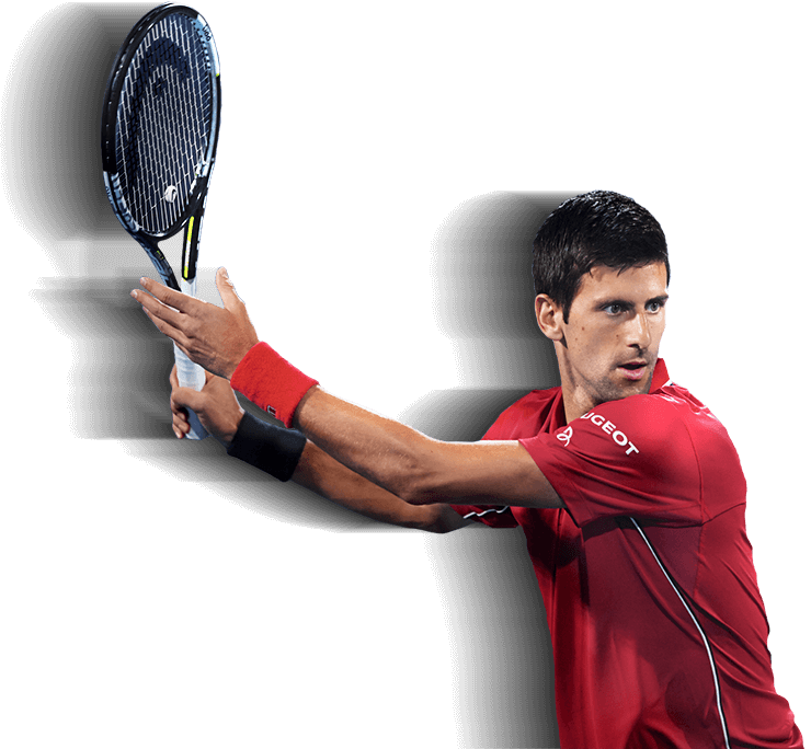 Png Image Information - Novak Djokovic Transparent Background (740x684), Png Download